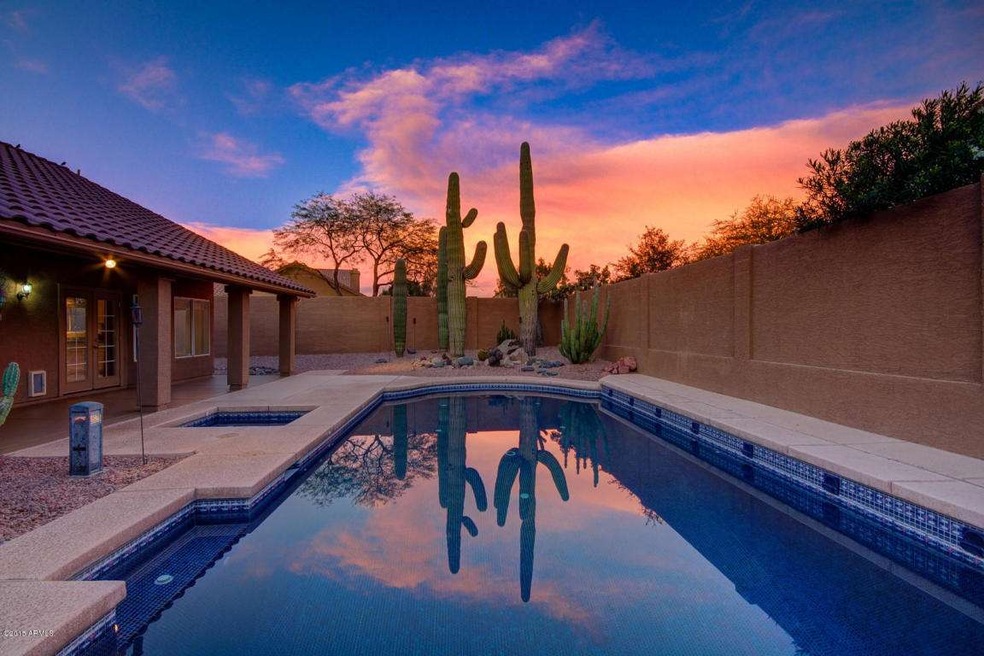 Backyard Oasis at Twilight