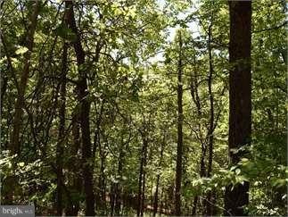 0 View Dr unit 1002744236, Front Royal, VA 22630 - photo 1