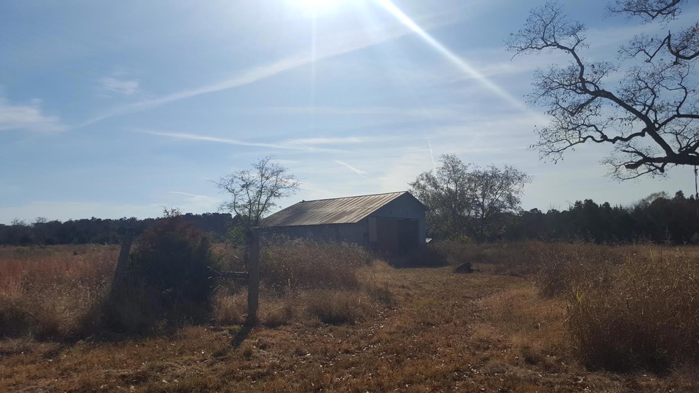 1796 Unionville Deason Rd, Bell Buckle, TN 37020 - photo 1