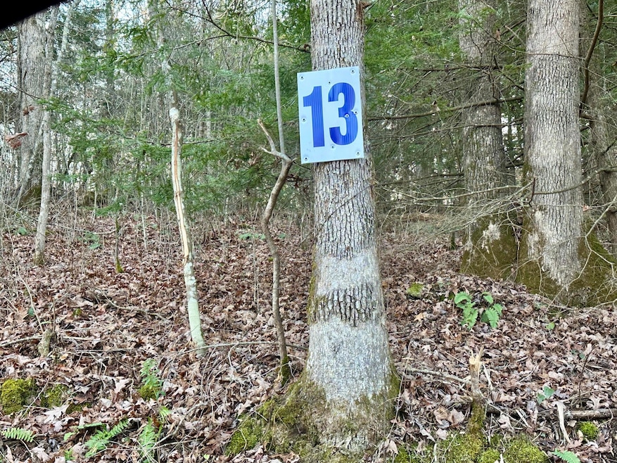 Lot 13 Hensley Rd, East Bernstadt, KY 40729 - photo 1