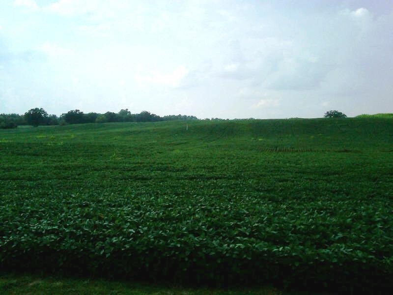 72 Acre Purcell Rd, Fitchburg, WI 53711 - photo 1