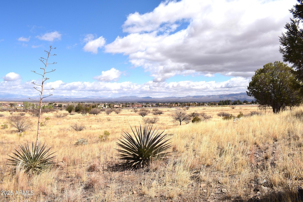 Lot 009P S One More Road -- unit 9P, Hereford, AZ 85615 - photo 1