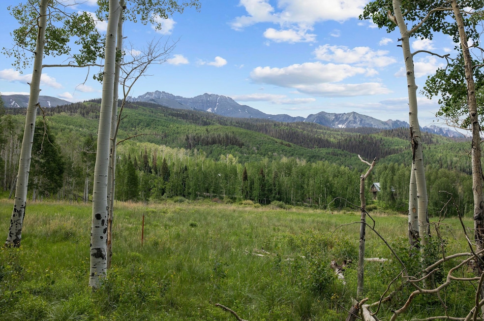 View from Site