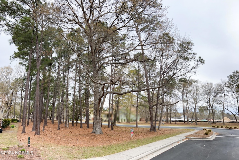 9284 Village Square W, Calabash, NC 28467 - photo 1