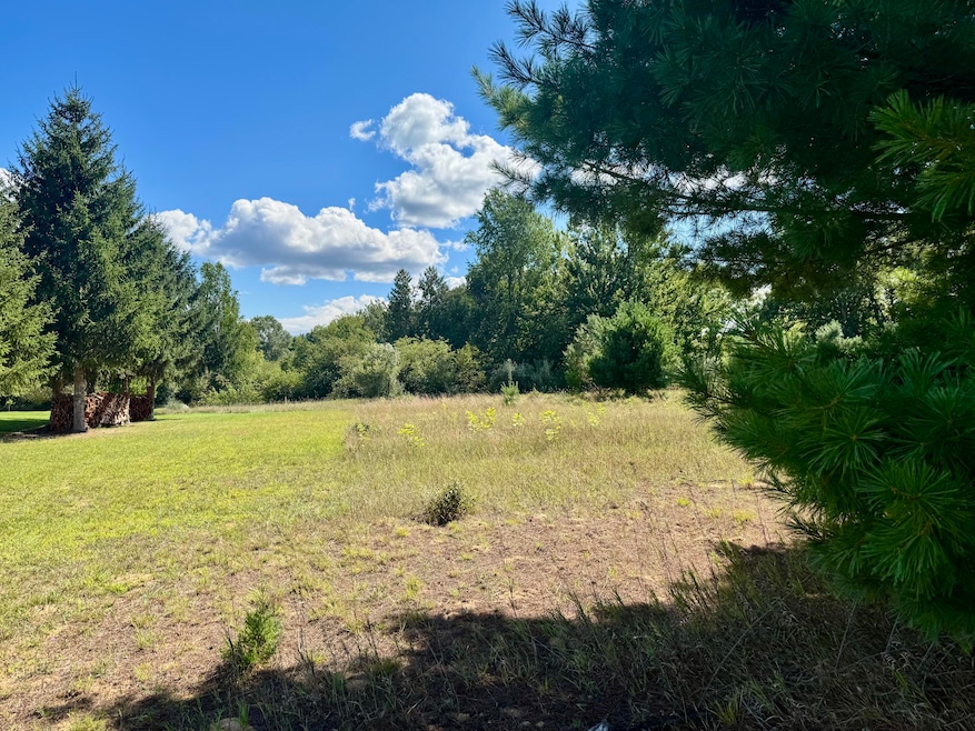 6685 Cedar Trace, Canadian Lakes, MI 49346 - photo 1