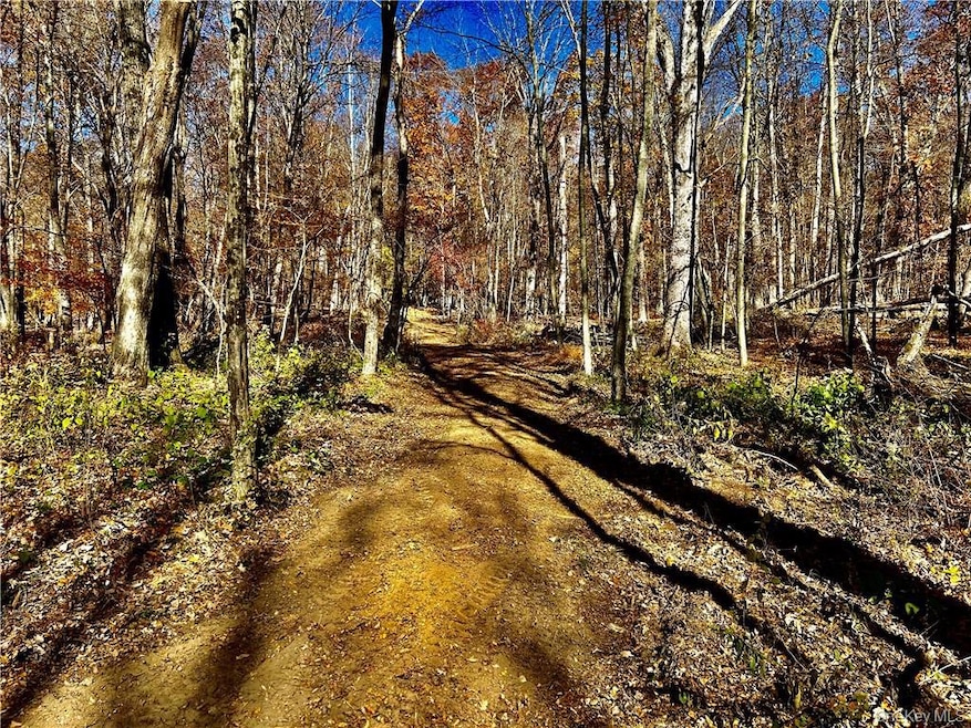 0 Westfall Rd, Ancram, NY 12502 - photo 1