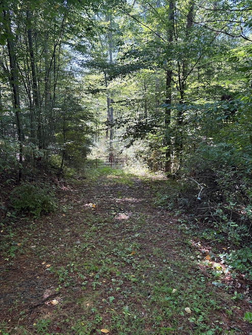 0 Morris Branch Rd unit 25-1144, Meadow Bridge, WV 25976 - photo 1