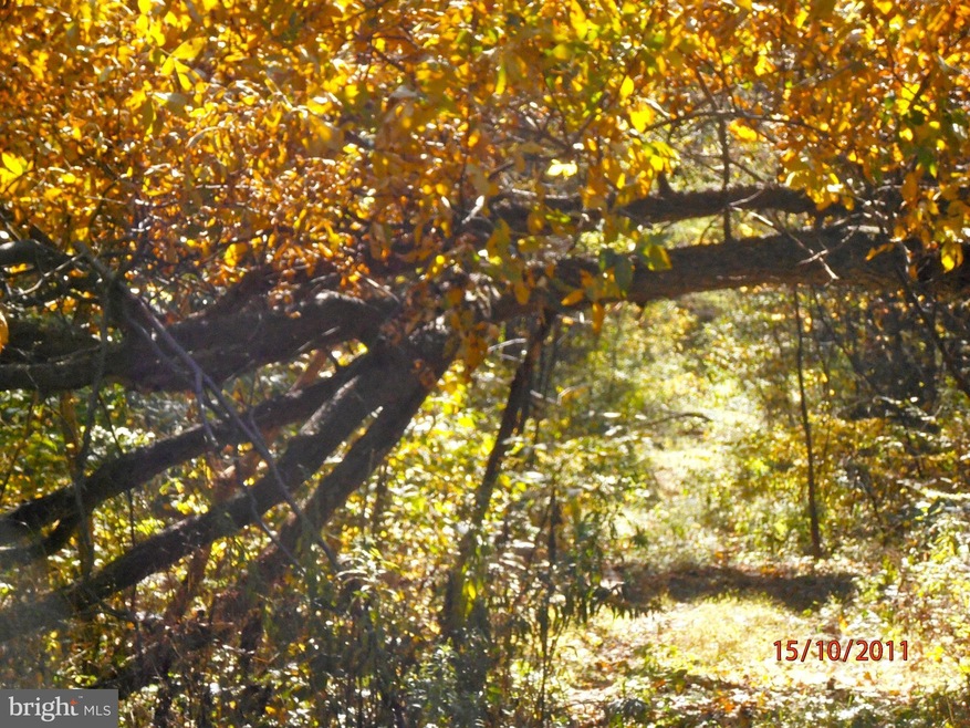 18 Axton Ln, Linden, VA 22642 - photo 1