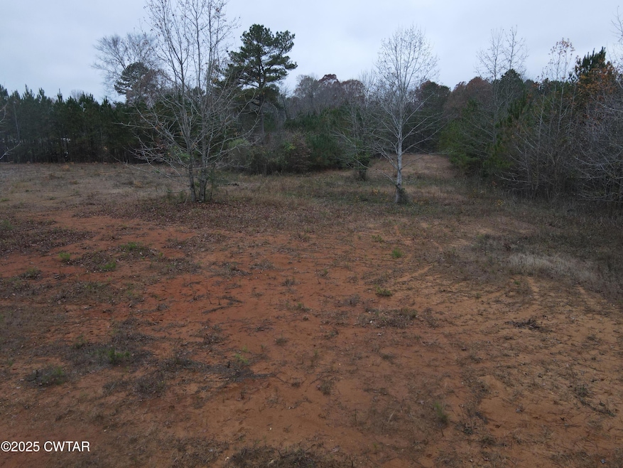 00 Duck Ln, Scotts Hill, TN 38329 - photo 1