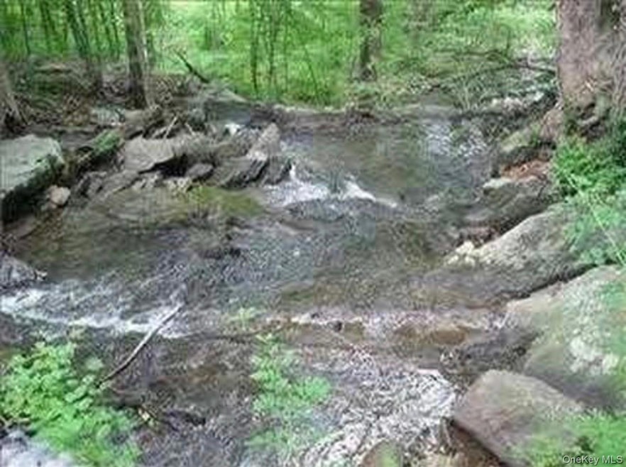 6 Thompson Dr, Staatsburg, NY 12580 - photo 1