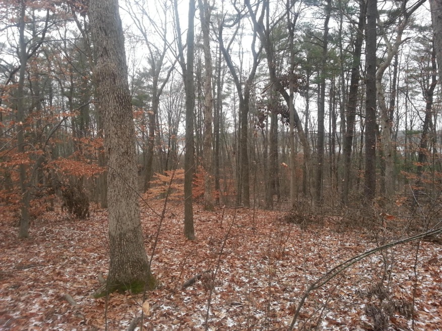 2919 Witters Ct, Portage, MI 49024 - photo 1