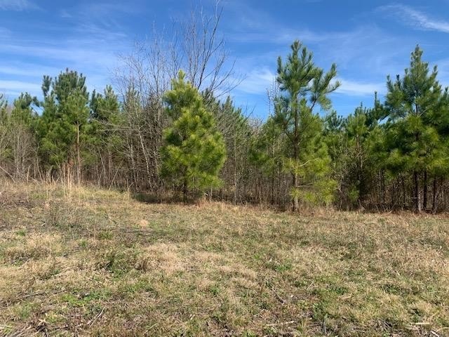 1 Hwy 225n, Chatsworth, GA 30705 - photo 1