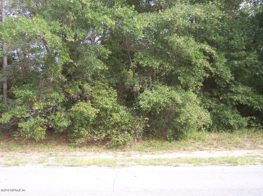 2323 Stuart Ave, Interlachen, FL 32148 - photo 1