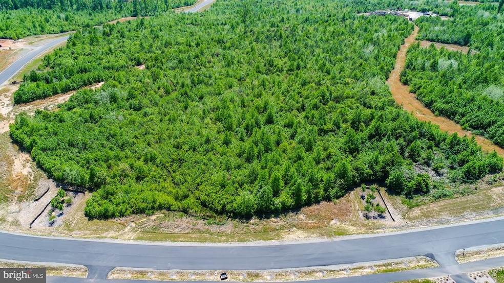 Lot 46 Downton Ave, Spotsylvania, VA 22553 - photo 1
