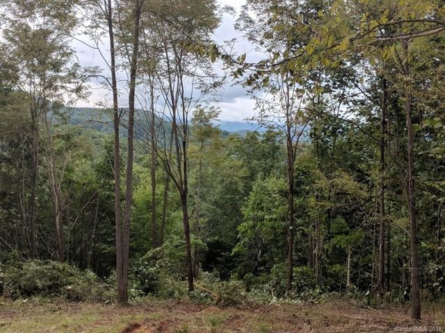 Summer Long range multi-layered view to Pisgah Nat