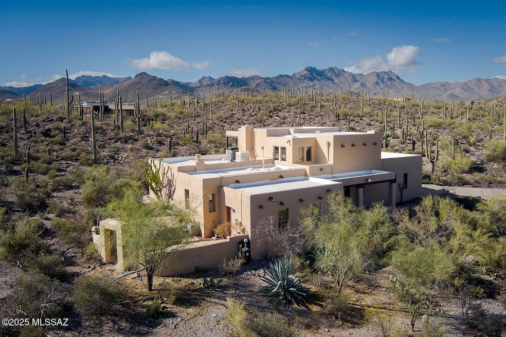 Saguaro Forest