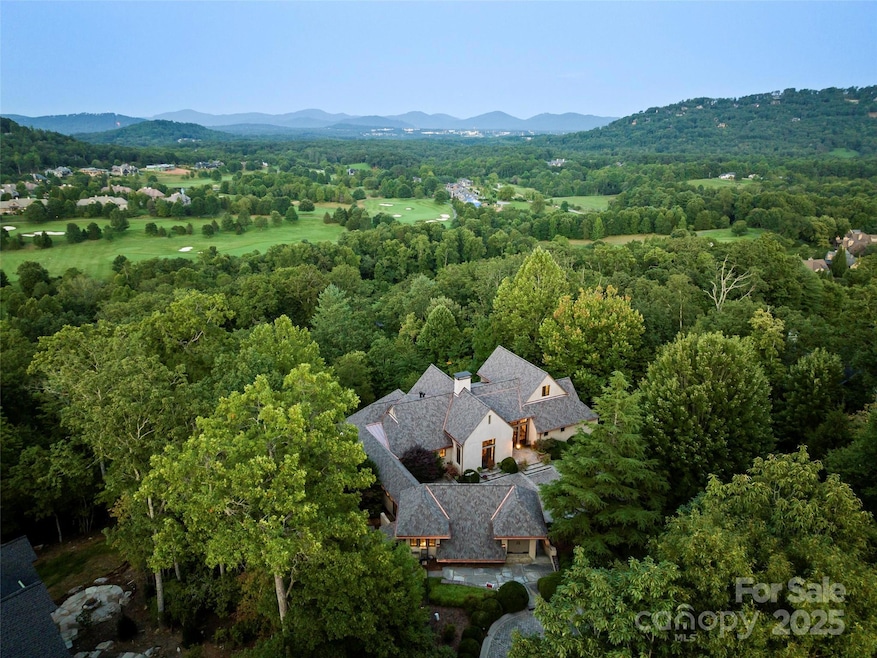 1929 Tree View Trail, Arden, NC 28704 - photo 1