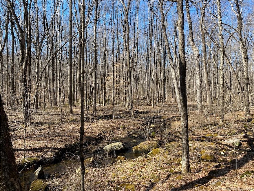 0 Andrew Mountain Rd unit 170603648, Naugatuck, CT 06770 - photo 1