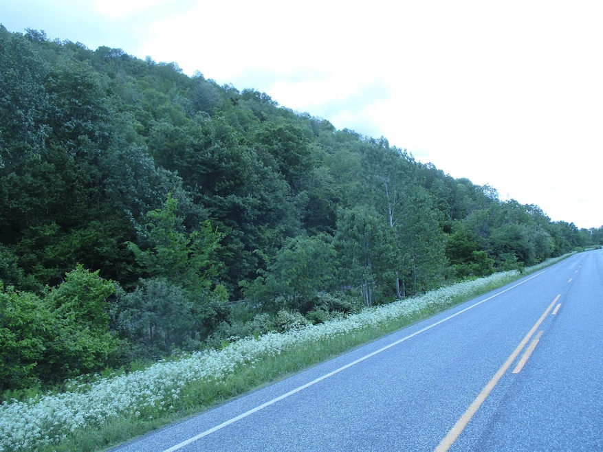 0 Vermont 12a, Braintree, VT 05060 - photo 1