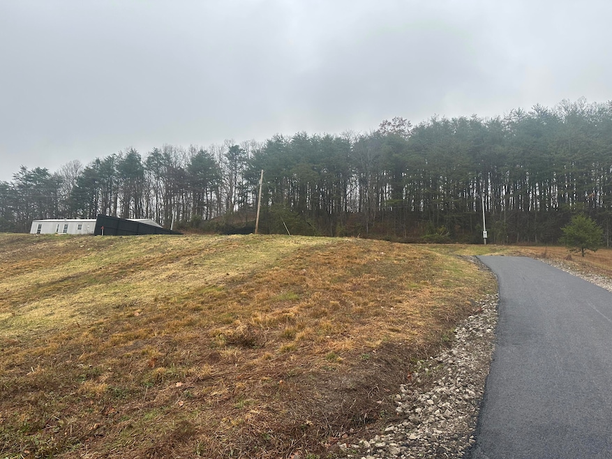 293   Lot 3 Freeman Branch Rd unit Lot 3, East Bernstadt, KY 40729 - photo 1