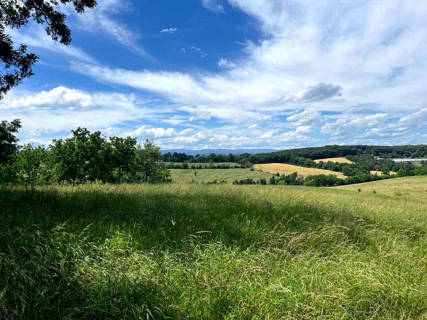 TBD Curry Rd, Mount Solon, VA 22843 - photo 1