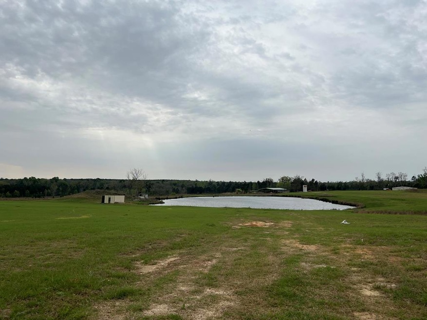 750 Cedar Grove Rd, Climax, GA 39834 - photo 1