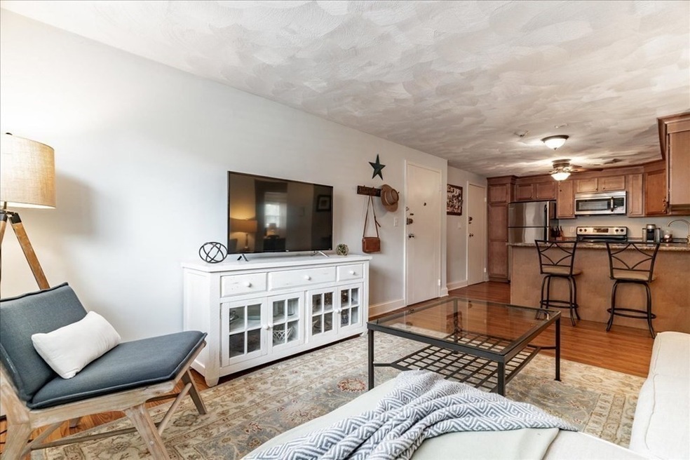 1105 Lexington St unit 3-2, Waltham, MA 02452 - photo 1