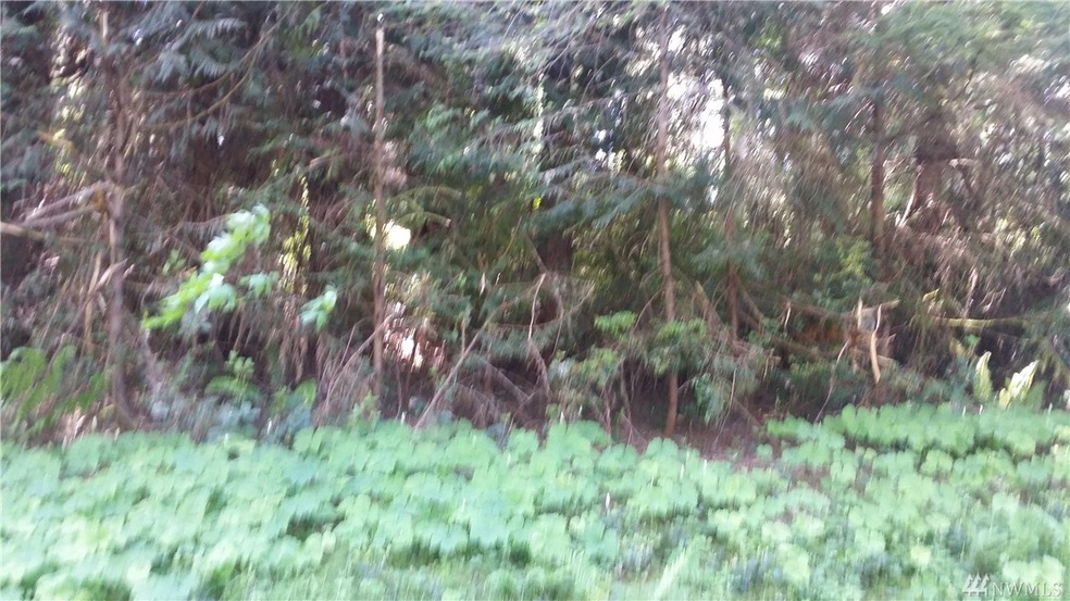 12708 Lovass Rd, Anderson Island, WA 98303 - photo 1