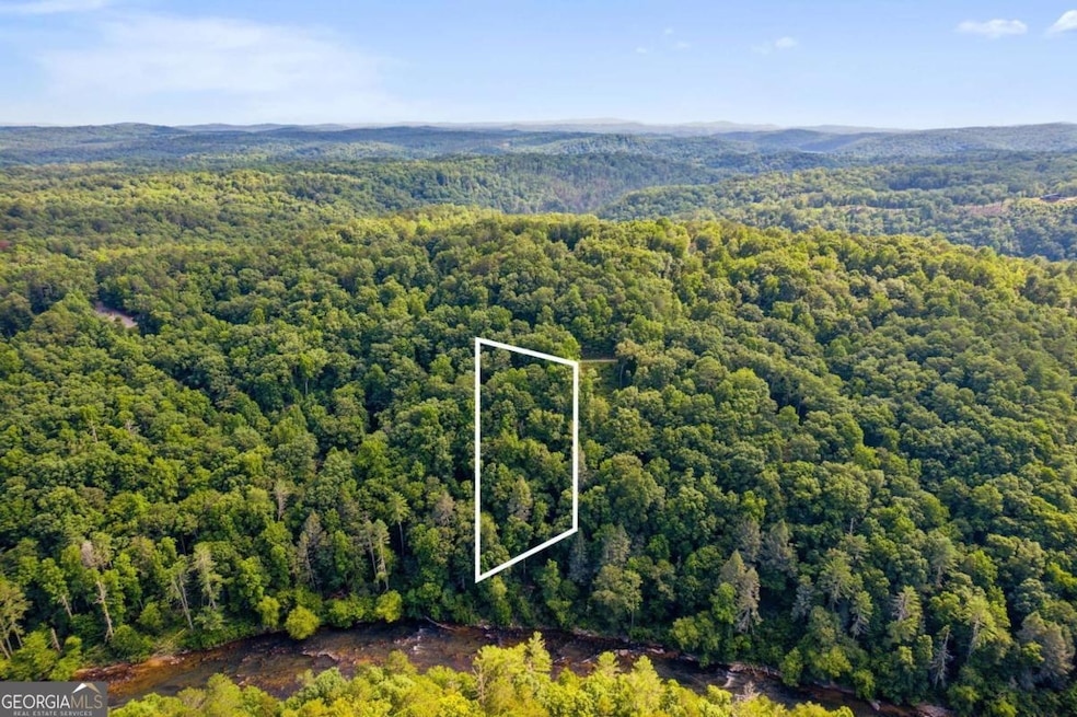 0 Flat Ridge Rd unit 10490565, Ellijay, GA 30540 - photo 1