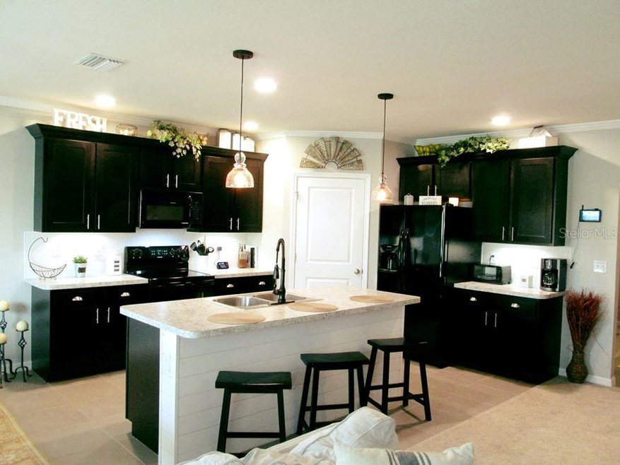 5510 Magdelene Way, Zephyrhills, FL 33541 - photo 1