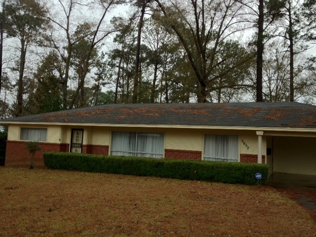2032BriarwoodFr