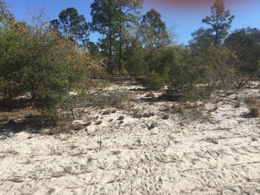 623 Summer Hill Dr, Lake Placid, FL 33852 - photo 1