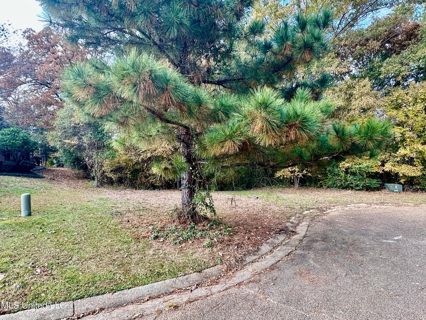 0 Ashton Place unit 4132186, Clinton, MS 39056 - photo 1