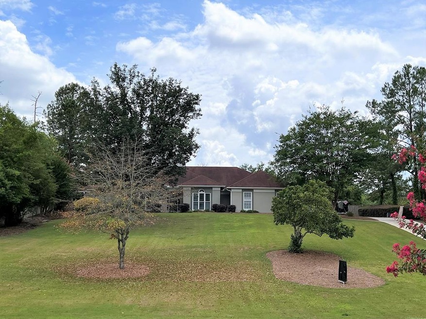 Main View