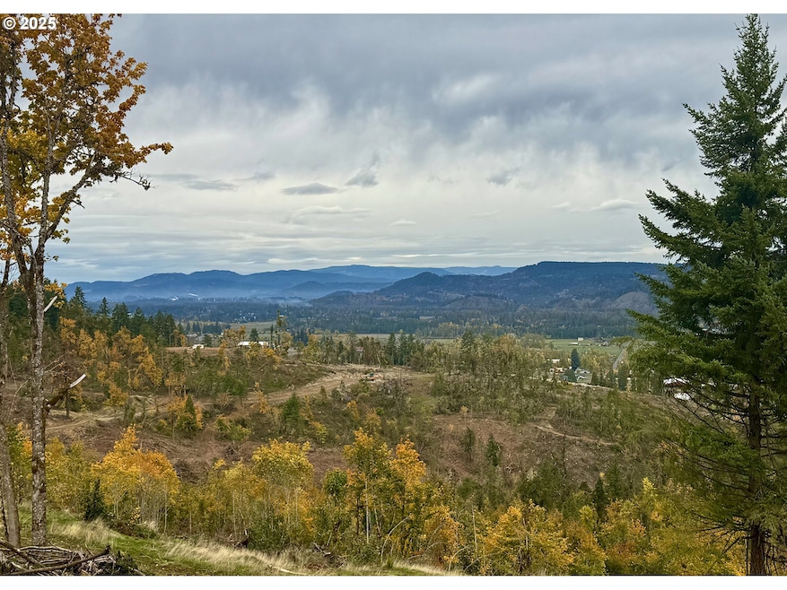 37308 Hyw 58, Pleasanthill, OR 97455 - photo 1