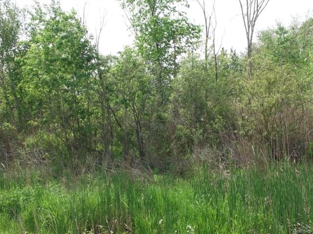 0 Lapeer Rd unit 215054427, Smiths Creek, MI 48074 - photo 1