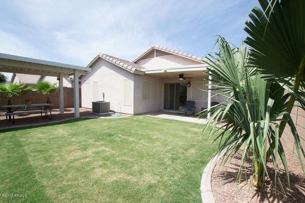 Large backyard