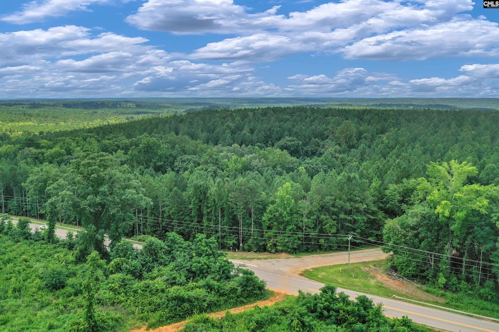 0000 S Carolina 215 unit 9, Jenkinsville, SC 29065 - photo 1