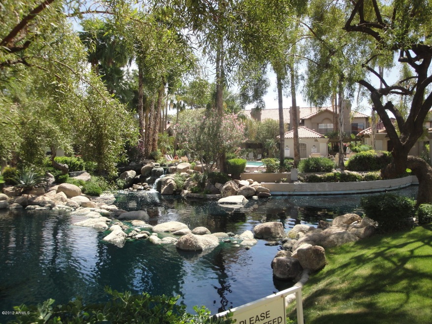 Pond