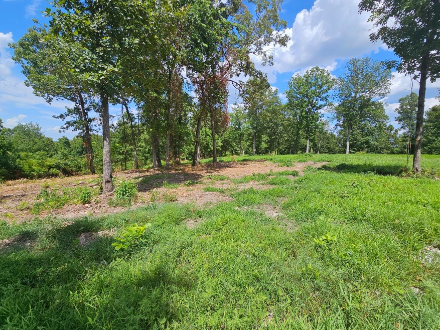 Creekwood-T-4 B pic 4
