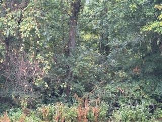 0 Bond Rd unit 1856079, Harrison, OH 45030 - photo 1