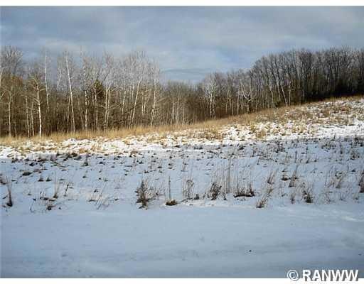 Lot 2 School Rd, Big Bend, WI 54757 - photo 1
