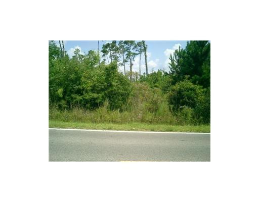 Primary Photo