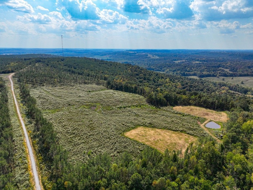 Cedar Grove Rd unit LotWP003, Salem, KY 42078 - photo 1