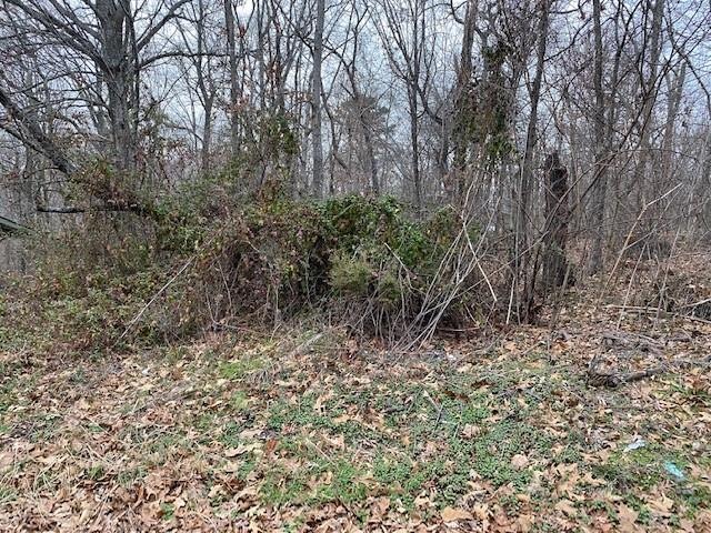 0 Billingsley Dr, Bella Vista, AR 72715 - photo 1