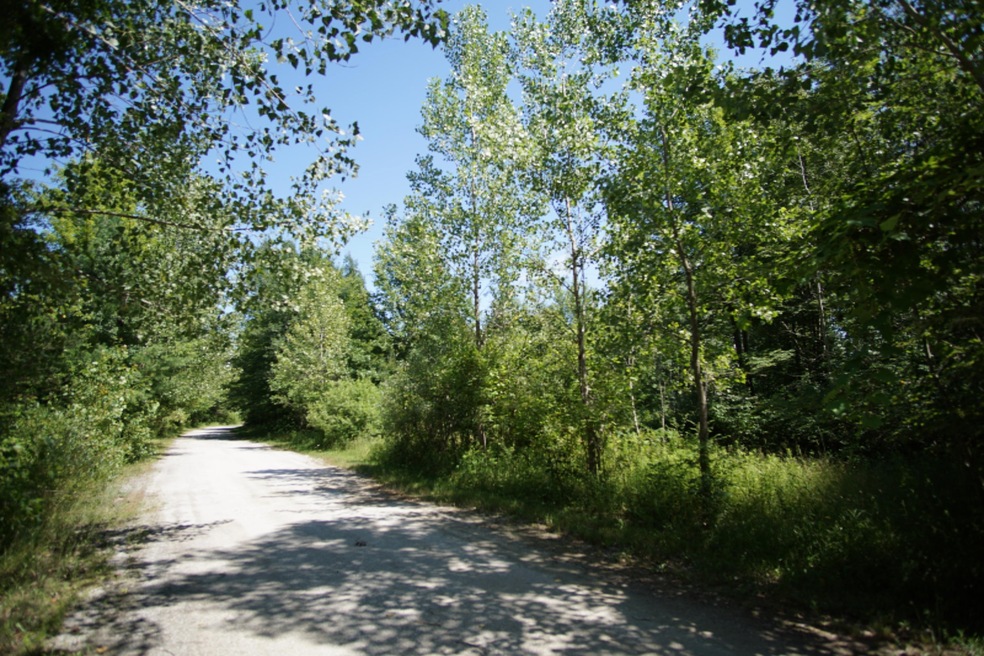 DSC06368