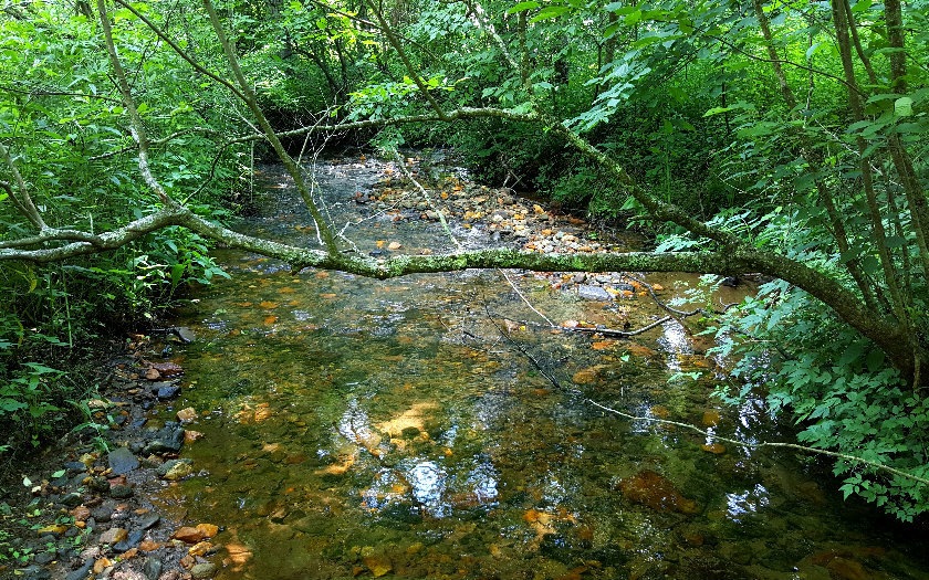 Main View