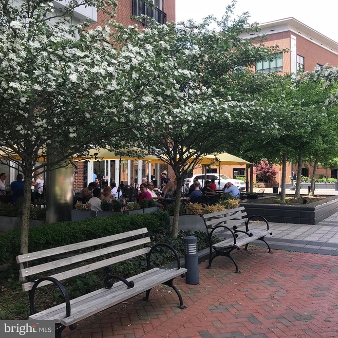 530 UNIT Harlan Blvd unit 717, Wilmington, DE 19801 - photo 1