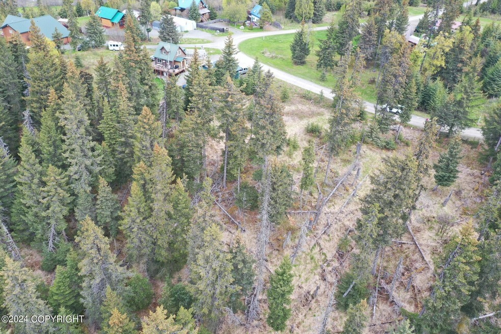 Aerial
