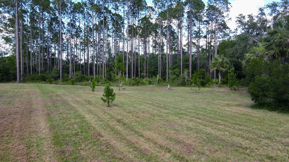 1351 Oak Pond Cir, Steinhatchee, FL 32359 - photo 1